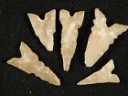 Lot Of Five  Ancient Tidikelt Arrowheads Or Bird Points 7 44