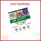 Advantage Ii Large Cat Vet-recommended Flea Treatment   Prevention   Cats Over 9
