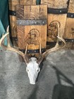 Rustic Barrel Custom Engraved European Deer Skull Mounting Plaques