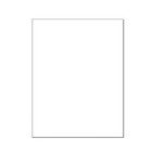 Epson Scanner White Background Sheet     218 Mm    298 Mm
