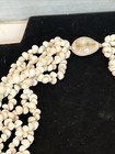 Vintage Hawaiian Niihau Momi Shell 5 Strand Necklace 34 Inch Authentic W  Box
