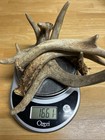 Dog Chews   Sold By The Pound  Deer Antler Chews For Dogs - All Natural