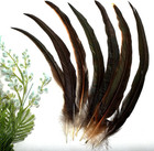 Tharaht 50pcs Rooster Coque Tail Feathers Bulk Natural 12-14inch 30-35cm For Cra