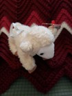 Ty Basket Beanie Baby - Baashful The Lamb  4 5 Inch  Nwt  Easter Stuffed Toy