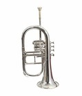 Christmas Sale Silver 4 Valve Bb f Flugel Horn With Free Case mouthpiece  