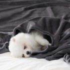 Fleece Throw Blanket For Couch Sofa Or Bed Throw Size  Soft Fuzzy Plush   Lux   