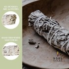 Sage Smudge Sticks 4  White Sage Bulk Wholesale 1000 Pack Cleansing Wands