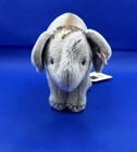 Kandula Baby Asian Elephant Steiff 667169 Lmt 561  1500 In Original Bag