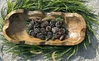 15 Natural Pine Cones  Small   Medium  Arts   Crafts  Rustic Pinecones