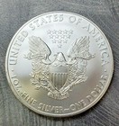 2008 American Silver Eagle Bu 1 Oz Coin Us  1 Dollar Pcgs Brilliant Uncirculated