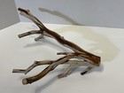 Manzanita Wood  Driftwood  Reptile Tank Decor  Fishtank Aquascape Or Terrarium