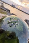 Rare Antique European Glass Fishing Float Three Crossed Fish Mark Green