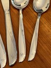Oneida Community Stainless Twin Star Choice