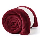 Large Faux Fur Fleece Blanket Ultra Soft Sofa Bed Mink Throw Twin And Queen Size