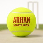 Cricket Icc Ball