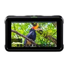 Atomos Shinobi 5 In Hdmi 4k Monitor With 60 In Tripod And 32gb Memory Card