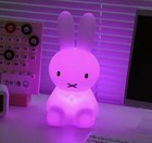 Miffy Lamp Night Light 28cm Kawaii Home Decor Desk 