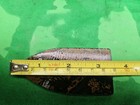 1 Each  1 4   Mahogany Obsidian Snyders Point Inspired Knapping Preform Blank