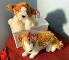 Ty Beanie Dogs-2002 Sampson  tag Error    2000 Cassie  collie -brand New-mwmt 