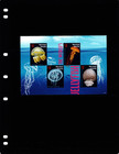  16 00 Scott Value - 2022 Marshall Isl Jellyfish S s Pacific Oc  Cv Mnh Nh Umm