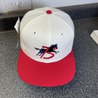 Vintage Billings Mustangs Hat Cap Snapback Minor League Baseball Nwt Milb Usa