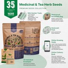 35 Medicinal   Tea Herb Seeds Variety Pack For Indoor   Outdoors  16 335  Non-gm