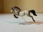 2013 Sm Wb Jumper Jackson Blanket Appaloosa - Wow  - 1 500 -