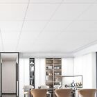 Art3d 12-pack Smooth Drop Ceiling Tile 2ft X 2ft pvc Ceiling Panel 48 Sq Ft