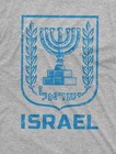 Israel Shirt Hanukkah Menorah Shirt Hanukkah Holiday Shirt Jewish Gift Tee