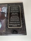Vtg 90s Carmen Electra Collectible Wall Display Tara Leigh Patrick Framed Bio