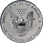2019-s Silver American Eagle  1 Enhanced Reverse Proof Ngc 69