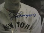 Joe Dimaggio New York Yankees Baseball Autographed George Brace 8x10 Photo Psa