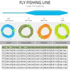 Fly Fishing Line 100ft Weight Forward Wf 2f 3f 4f 5f 6f 7f 8f Welded Loops Float