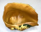 Roseville Water Lily Vintage Pottery Brown Conch Shell Planter Vase 445-6 Read