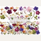Rub On Transfers For Furniture Redesign With Prima Pressed Flowers Free Shipping