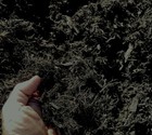 Black Gorilla Hair Mulch  Black Colored Shredded Redwood Mulch 42 Quarts