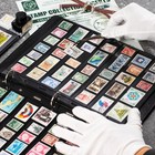 20 Sheets Stamp Pages Collector Stamp Collecting Album Binder Standard 9 Hole   