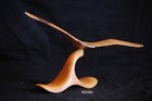 Seagull Wood Bird Carving Oregon Myrtlewood Decoration