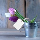 1000 Pcs White Price Tags     1 9  X 1 4  Without String