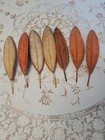 Antique  Lot Embellishments For Hats Clothing Costumes Flowers Feathers Tassels