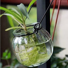 Small Hanging Glass Vase Clear Sphere Shaped Hydroponic Plant Bud Terrarium New