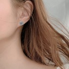 925 Silver Plated Elegant Ear Studs With Zircon Inlaid Clover Earrings For Women