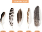 40pcs Natural Pheasant Feathers Bulk Spotted Feathers 5 Styles Mixed Feathers Fo
