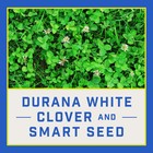 Pennington Smart Seed Clover   Grass Mix  7lb - Sun shade  Drought Tolerant