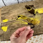 Vintage Millinery Feather Lot Antique Feathers Yellow Bird Applique Pick Hat