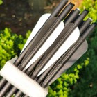 12pcs Hunting Crossbow Bolts Arrows   or 3pcs Led Lighted Nocks Night Hunting