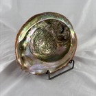 Large Natural Abalone Shell Smudging Bowl Incense Burner Dish 8x6