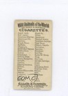 1888 Allen   Ginter Wild Animals Of The World Tobacco N25 Wolf 0vl1