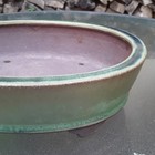 Japanese Bonsai Pot Tokoname Green Glaze Oval 9 X 8 5 X 3  Shosen-yamaaki W24cm
