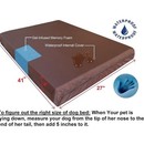 Dogbed4less Memory Foam Pet Bed For Small Medium Large Xl Dog   Waterproof Case